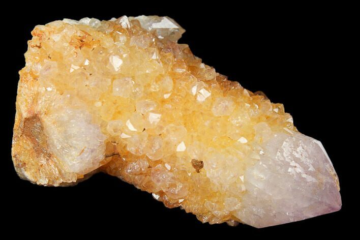 Sunshine Cactus Quartz Crystal - South Africa #122338